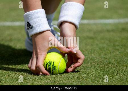 Queen Club, London, Großbritannien. Juni, 2019 21. Die ATP Tennis Turnier Fever-Tree; ein Wimbledon Tennis ball 2019 wird gesehen, wie der Ball Mädchen sammelt es aus dem Netz Credit: Aktion plus Sport/Alamy leben Nachrichten Stockfoto