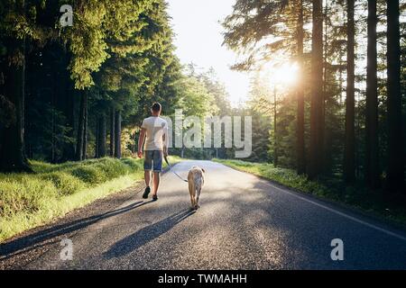 Sommer mit Hund. Der Mensch und seine Labrador Retriever zu Fuß auf der Straße in den Wald gegen den schönen Sonnenuntergang. Stockfoto