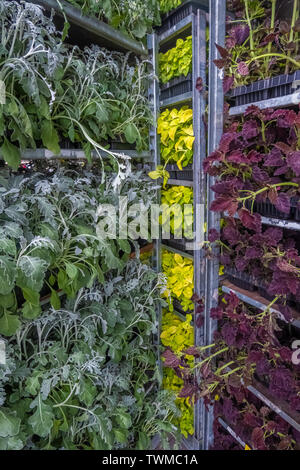 Pflanzliche Töpfe bereit für die Anpflanzung von Reminicent der vertikalen Landwirtschaft und grüne Architektur Stockfoto