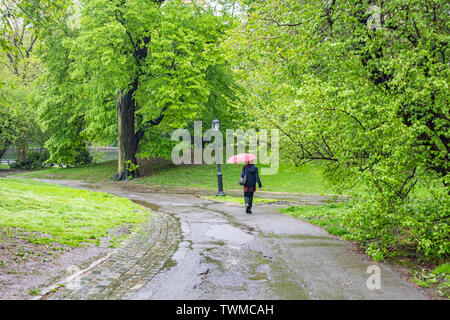 Regen im Central Park, New York City. Frau alleine zu Fuß auf einem Pfad mit einem roten Regenschirm, frischen Baum Laub und Gras, Frühling Stockfoto