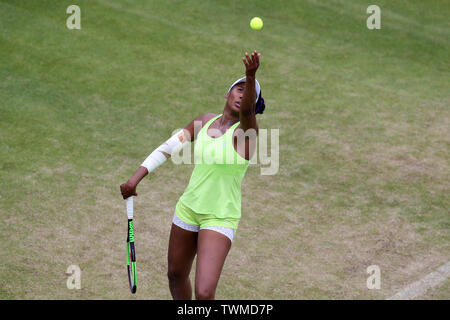 Birmingham, Großbritannien. Juni, 2019 21. Venus Williams aus den USA während ihr Viertelfinale gegen Ashleigh Barty von Australien. Natur Tal Classic 2019, Tennis der Internationale Frauentag, Tag 5 an der Edgbaston Priorat Club in Birmingham, England am Freitag, den 21. Juni 2019. Redaktionelle Verwendung nur. pic von Andrew Obstgarten, Credit: Andrew Orchard sport Fotografie/Alamy leben Nachrichten Stockfoto