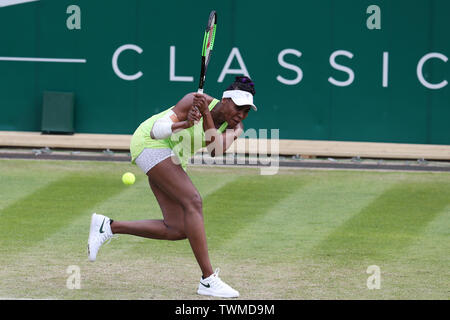 Birmingham, Großbritannien. Juni, 2019 21. Venus Williams aus den USA während ihr Viertelfinale gegen Ashleigh Barty von Australien. Natur Tal Classic 2019, Tennis der Internationale Frauentag, Tag 5 an der Edgbaston Priorat Club in Birmingham, England am Freitag, den 21. Juni 2019. Redaktionelle Verwendung nur. pic von Andrew Obstgarten, Credit: Andrew Orchard sport Fotografie/Alamy leben Nachrichten Stockfoto