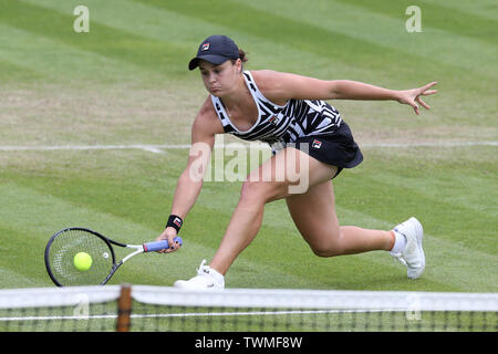 Birmingham, Großbritannien. Juni, 2019 21. Ashleigh Barty von Australien in Ihrem Viertelfinale gegen Venus Williams aus den USA. Natur Tal Classic 2019, Tennis der Internationale Frauentag, Tag 5 an der Edgbaston Priorat Club in Birmingham, England am Freitag, den 21. Juni 2019. Redaktionelle Verwendung nur. pic von Andrew Obstgarten, Credit: Andrew Orchard sport Fotografie/Alamy leben Nachrichten Stockfoto
