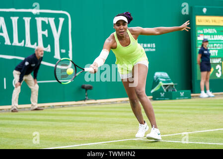 Priorat Club Edgbaston, Birmingham, Großbritannien. Juni, 2019 21. WTA Natur Tal Classic Tennis Turnier; Venus Williams (USA) schlägt eine Vorhand in Ihrem Viertelfinale gegen Ashleigh Barty (AUS) Credit: Aktion plus Sport/Alamy leben Nachrichten Stockfoto