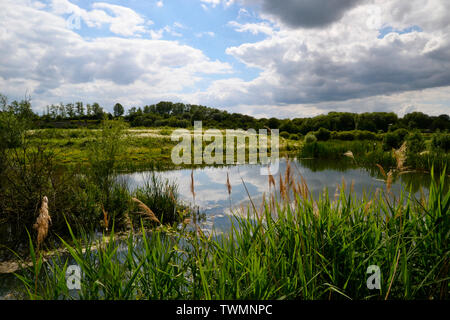 College Lake Nature Reserve, Tring, Buckinghamshire, Großbritannien Stockfoto
