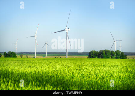 Windpark in den grünen Bereich. Helle Sommer Landschaft Stockfoto