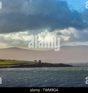 Die Dingle Bay Irish Wald Dun Laoghaire Stockfoto