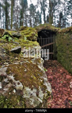 Die Dingle Bay Irish Wald Dun Laoghaire Stockfoto