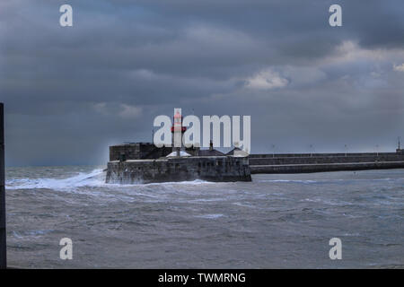 Die Dingle Bay Irish Wald Dun Laoghaire Stockfoto