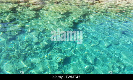 Kristallklares Wasser in der Nähe der steinigen Küste. Stockfoto