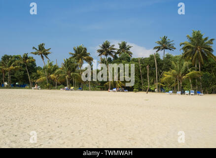 Sand und Kokospalmen auf der Malabarküste am Arabischen Meer in Kochi, Kerala, Indien Stockfoto
