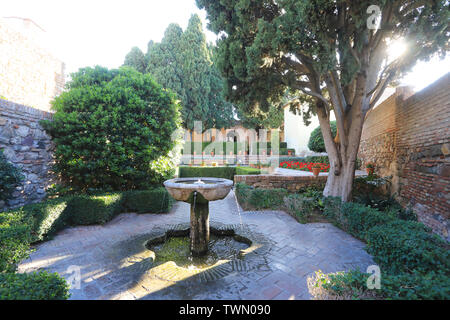 Der Patio de Armas im maurischen Zitadelle von der Alcazaba von Málaga, an der Costa del Sol, Spanien, Europa Stockfoto