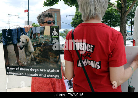 New York, NY, USA. 21 st. Juni, 2019. Tierschützer mit AnimlasBattalion.org bestreikten die Chinesische Botschaft auf der New Yorker West Side am 21. Juni 2019, über die Tötung und der Verzehr von Hundefleisch in China bei der jährlichen Yulin Hund Fleisch Festival. Diese 'Festival', wo rund 10.000 Hunde geschlachtet werden und diente als Mahlzeiten. Nach Demonstranten, viele der Tiere getötet werden gestohlene Haustiere von denen einige noch gesehen haben ihre Halsbänder tragen. © 2019 G. Ronald Lopez/Alamy leben Nachrichten Stockfoto