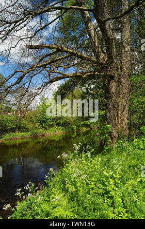 UK, South Yorkshire, Sheffield, Don in der Nähe von Penistone Road Stockfoto