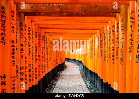 Rote Tori Tor am Fushimi Inari-Schrein in Kyōto, Japan. Stockfoto