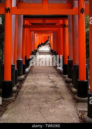 Rote Torii-Tore am Fushimi Inari Taisha-Schrein, gelegen am Fuße des Inari-Berges, Kyoto, Japan. Stockfoto