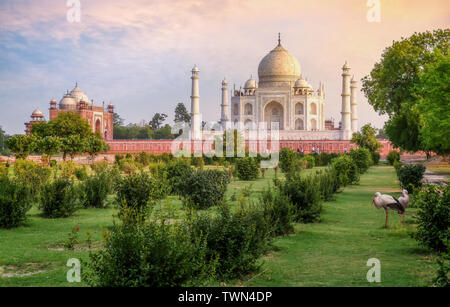 Taj Mahal historisches Denkmal bei Sonnenuntergang wie aus mehtab Bagh in Agra, Indien Stockfoto