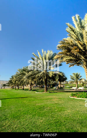 Ansicht von Khalid Lake Trail in Sharjah Vereinigte Arabische Emirate Stockfoto