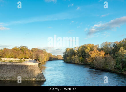 Am Ufer der Seine und Wald im Herbst Stockfoto