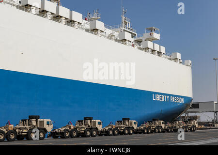 Soldaten von 1173 d Deployment Distribution und Support Battalion Operationen im Hafen von Shuaiba, Kuwait, Juni 15, 2019 zu überwachen. Die Einheit verfolgt und das Herunterladen von 250 Stücke der Ausrüstung aus den USA Schiff Liberty Leidenschaft überprüft. (U.S. Armee Foto: Staff Sgt. Veronica McNabb) Stockfoto