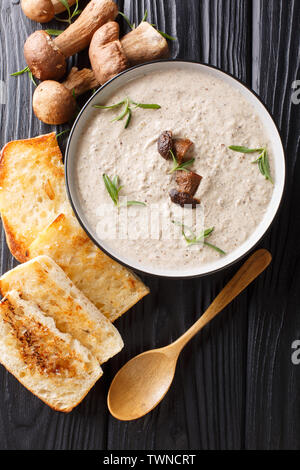 Dicke Suppe pürieren von frischen Pilzen mit Thymian aus der Nähe in einer Schüssel mit Toast auf den Tisch serviert. Vertikal oben Ansicht von oben Stockfoto