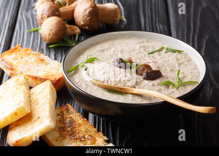 Suppe pürieren Wald Steinpilzen close up in eine Schüssel mit Toast auf dem Tisch serviert. Horizontale Stockfoto