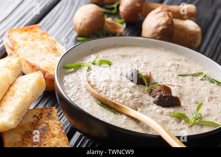 Dicke Suppe pürieren von frischen Pilzen mit Thymian aus der Nähe in einer Schüssel mit Toast auf den Tisch serviert. Stockfoto