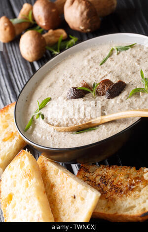 Cremesuppe von frischen Steinpilzen mit Thymian in eine Schüssel mit Toast auf dem Tisch serviert. Vertikale Stockfoto