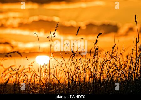 Southport, Merseyside, 22. Juni 2019. Ein warmer und sonniger Start in den Tag über den Nordwesten von England als die Dämmerung sonnenaufgang Kaskaden über die RSPB Nature Reserve Marshside in Southport, Merseyside. Diese geschützten Feuchtgebiete sind Tausende von Zugvögel im Winter Saison. Singschwänen und Kanadischen rosa Gänse gedeihen in diesen Reichlichen Nahrungsaufnahme. Credit: cernan Elias/Alamy leben Nachrichten Stockfoto