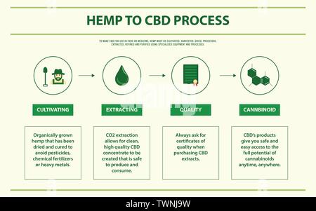 Hanf zu CBD-Prozess horizontale Infografik Abbildung über Cannabis als pflanzliche Alternative Medizin, Gesundheitswesen und medizinische Wissenschaft Vektor. Stock Vektor