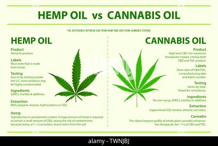 Hanföl vs Cannabis Öl horizontale Infografik Abbildung über Cannabis als pflanzliche Alternative Medizin, Gesundheitswesen und medizinische Wissenschaft Vektor. Stock Vektor