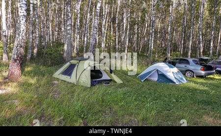 Zwei kleine touristische Zelte sind in einem malerischen Ort am Rande einer Birke Wald. Neben Autos der Touristen. Stockfoto