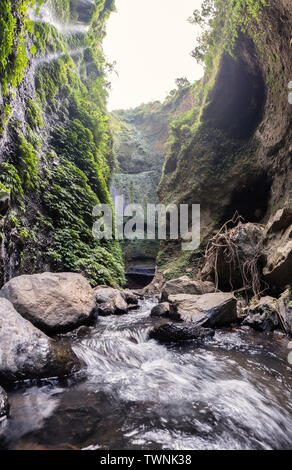 Majestätischen Wasserfall fließt auf felsigen Klippen im tropischen Regenwald. Madakaripura Wasserfall, Ost Java, Indonesien Stockfoto