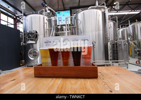 Flug von 4 Bier und Apfelwein aus Scotts Brauerei Oamaru, Neuseeland Stockfoto