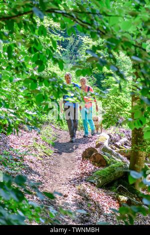 Wanderung in schäbiger Wald in der Nähe von Dollnstein im Naturpark Altmühltal Stockfoto