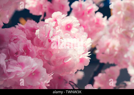 Rosa fake Blumen, Hintergrund, Textur Stockfoto