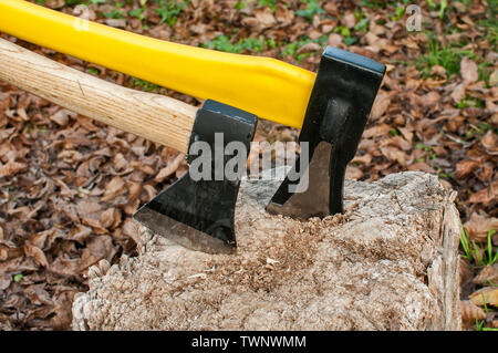 Zwei Achsen mit Stahlklingen in alter Baumstumpf im Herbst Laub Hintergrund klemmt Stockfoto