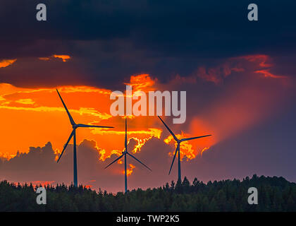 Vier Windenergieanlagen im Abendlicht Stockfoto