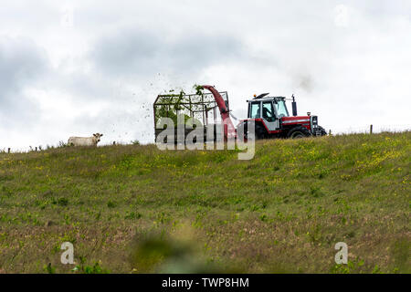 Ardara, County Donegal, Irland. Am 22. Juni 2019. Ein Landwirt Schnitte für Grassilage im Winter Futter für sein Vieh verwendet. Credit: Richard Wayman/Alamy leben Nachrichten Stockfoto