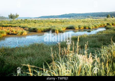 Wunderschöne Landschaft Blick auf den See während der Morgen Licht Stockfoto