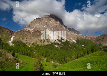 Sommer Abend Dolomite Mountain Peak in Passo di Rolle, Italien. Landschaft von Passo Rolle Berg, Pale di San Martino Stockfoto