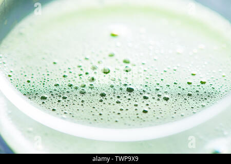 Matcha Tee Schaum Makroaufnahmen. Traditionelles Getränk close-up Stockfoto