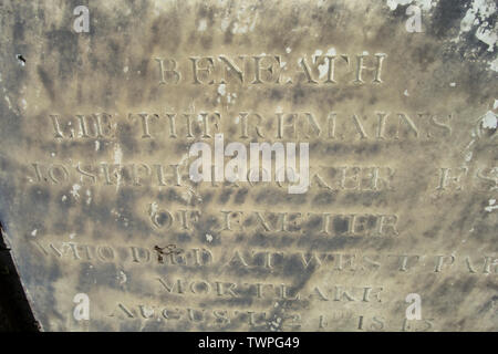 Inschrift auf dem Grab von Joseph Hooker, 19 Botaniker und Explorer, und der Direktor der Kew Gardens, in der hucrchyard von St Annes Kirche, Kew, London Stockfoto