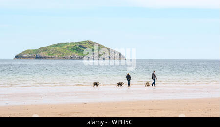 Firth-of-Forth, East Lothian, Schottland, Vereinigtes Königreich, 22. Juni 2019. UK Wetter: überwiegend sonnigen Tag bei Ebbe entlang der breiten Strand von breiten Sandstrand. Die Menschen genießen Sie die Natur. Ein paar gehen Hunde am Strand vor Craigleith Insel Stockfoto