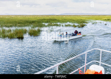 Bootsfahrten durch das Schilf und schwimmende Dörfer von Uros Inseln auf dem Titicacasee, Peru, Südamerika Stockfoto