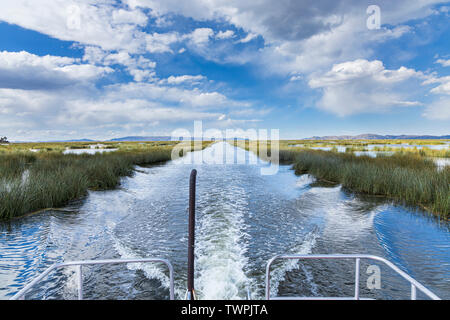 Reisen Sie mit einem Boot durch einen Kanal im Totora Schilfgras am Titicacasee, Peru, Südamerika Stockfoto