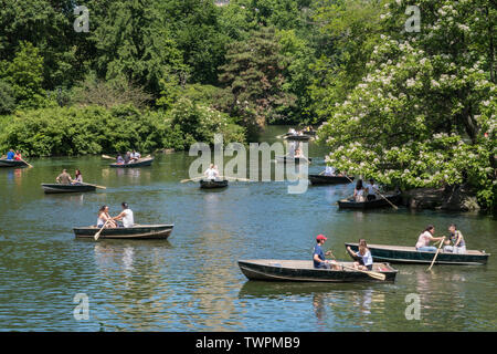 Ruderboote auf dem See im Sommer am Nachmittag, Central Park, NYC Stockfoto