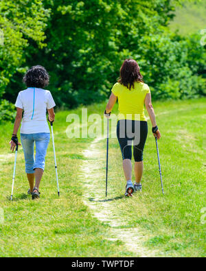 Zwei Frauen, die ein Nordic walking Sitzung in einer wunderschönen Landschaft in Deutschland Stockfoto