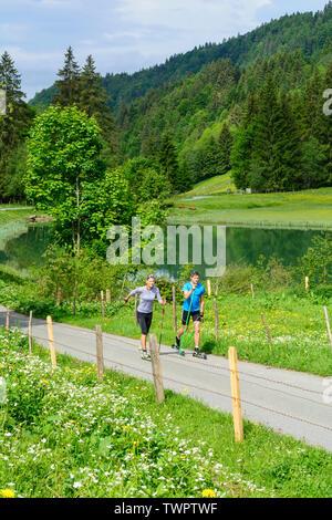 CC-Skifahrer während einer Trainingseinheit im Sommer Stockfoto