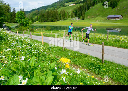 CC-Skifahrer während einer Trainingseinheit im Sommer Stockfoto